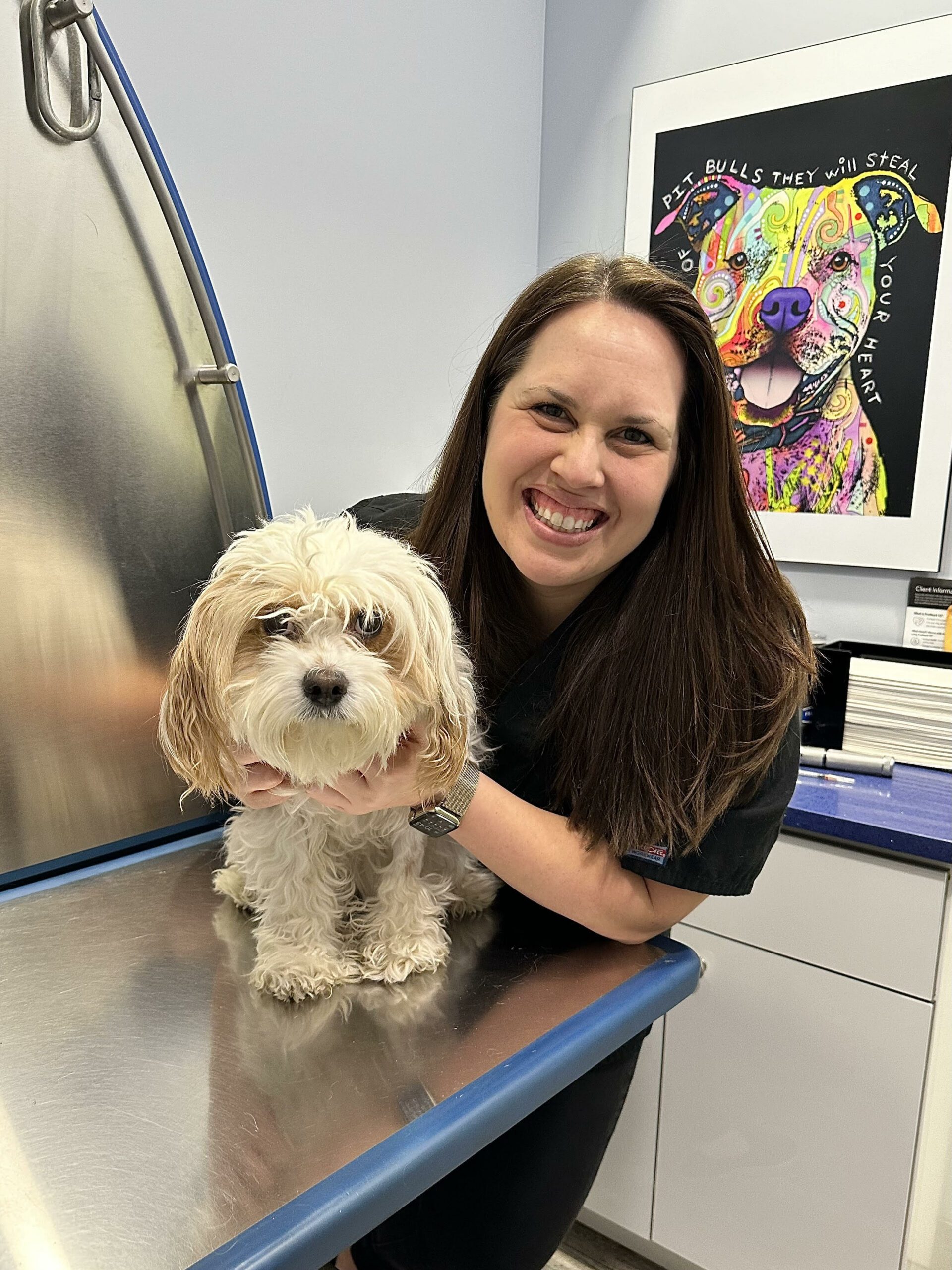 Meet Our Hillsborough Veterinarians Well Pet